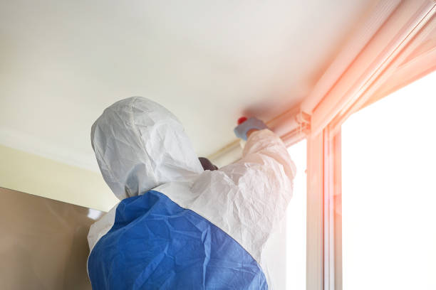 Best Attic Mold Removal  in Captains Cove, VA